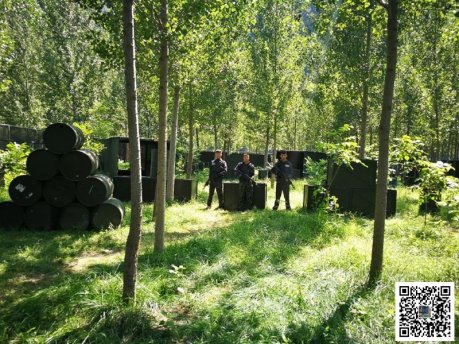 公司进行野三坡团建活动的合理性和必要性有哪些?