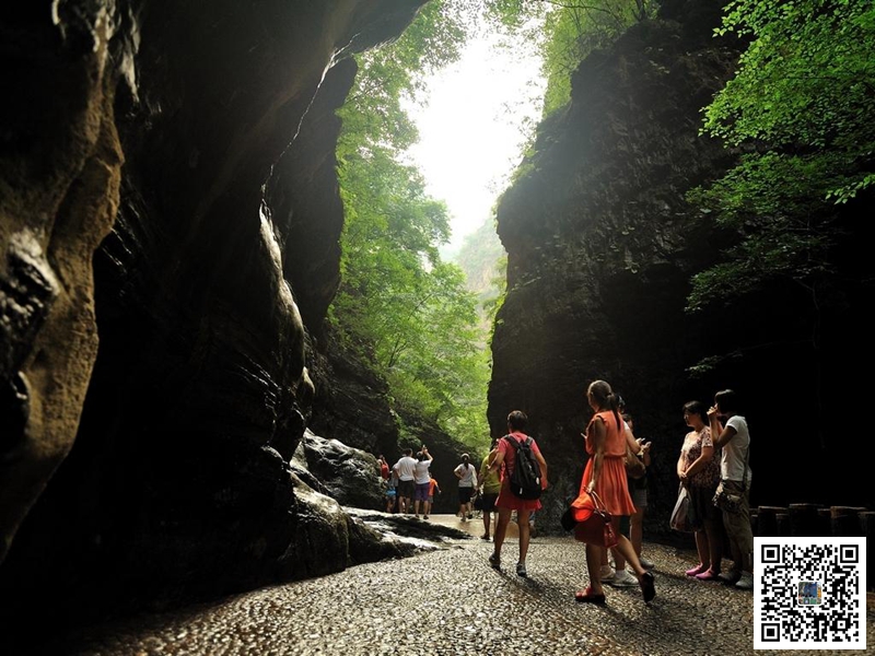 1655708200599535.jpg 05.jpg