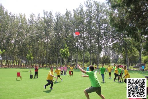 野三坡飞盘团建,凝聚团队向心力