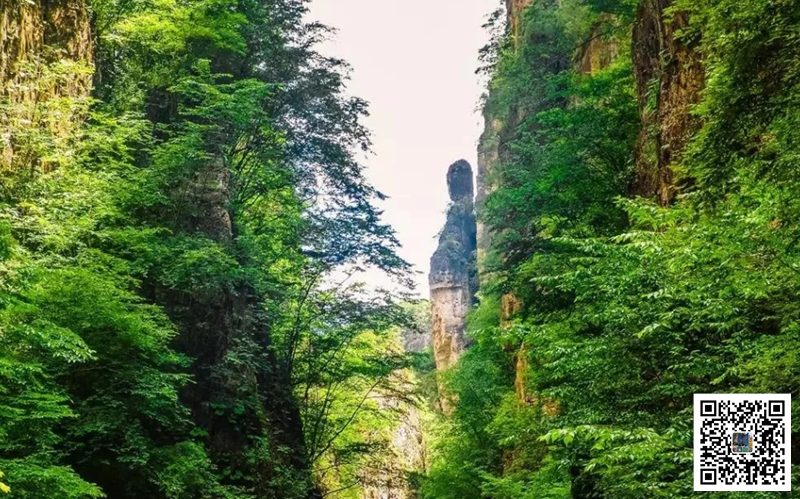 <a href='https://www.bingzhe.com.cn/tuanjian' target='_blank'><u>野三坡团建</u></a> (76).jpg